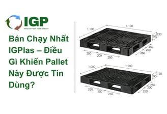 Pallet nhựa xuất khẩu bán chạy nhất tại IGPlas, phù hợp container 20FT và 40FT