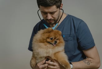 a vet doctor is holding a dog