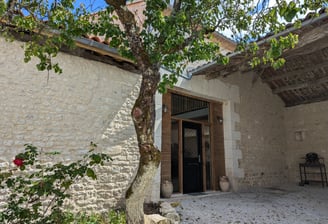 a tree in a courtyard with a tree in the background