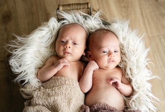 Jumelles nouveau-nées installées côte à côte dans une caisse – séance naissance à domicile Gard