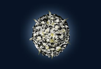 imagem mostra uma coroa de flores luxo vendida pelo cemitério araçá são paulo
