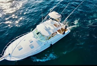 yate de pesca deportiva cabo express 45 cabo san lucas