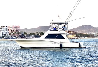 viking 44