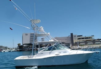 yate-pesca-cabo-express-35