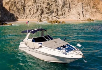 yate sea ray 32 en renta cabo san lucas