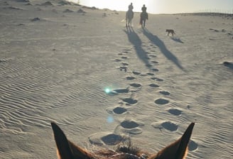 Passei a cavalo em Fortaleza-CE