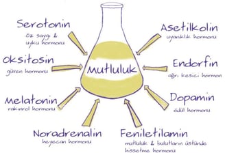 Adrenalin ve noradrenalin, stres ve duygusal durum üzerinde güçlü etkileri olan hormonlardır.