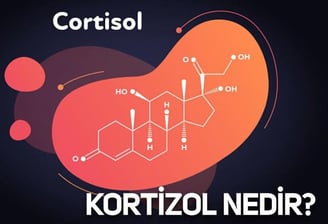 Kortizol hormonu, stresle başa çıkmada önemli bir rol oynar ve vücut fonksiyonlarını doğrudan etkileyebilir