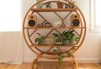 a wooden shelf with a plant in it