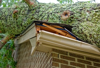 Gutter damage