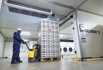 a man in a blue jumpsuit and a yellow helmet installing precoolers