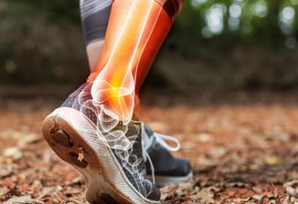 Sports Injury Rehabilitation