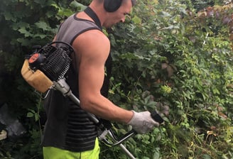 member of staff at that garden guy strimming a hedge