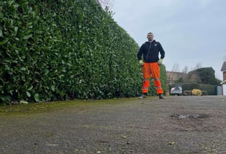 hedge in pershore trimmed by that garden guy