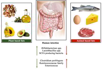 Plant-Based vs. Animal Fats: How are they related to cardiovascular and overall mortality?