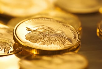 1 oz of gold