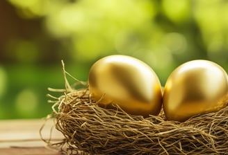 retirement nest egg