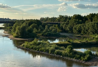 Poznaj przyrodę Warszawy z Naturą Miasta!