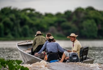 Motorboat Tours at Pantanal