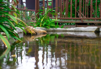 a wooden deck with a wooden deck and a wooden deck