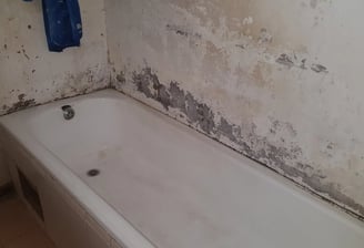 Condensation damp inspection Roodepoort