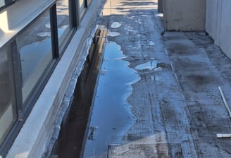 Roof inspection, West Rand