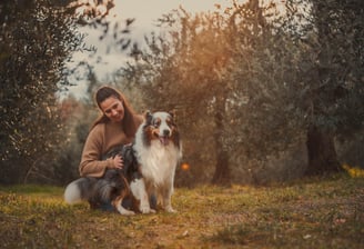 ragazza con pastore tra gli ulivi al tramonto