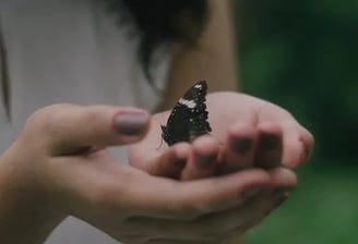 a woman holding a butterfly on her hands, resilient ecosystem, cuh2o,