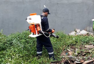Biaya pembasmi rayap