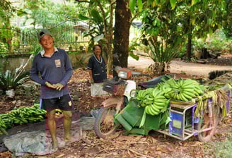 Sawi, Chumphon, dans les terres
