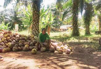 Sawi, Chumphon, dans les terres