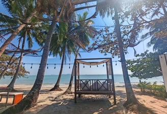 To the moon, Thung Makham Chumphon
