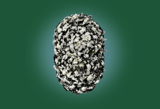 Imagem de coroa de flores A Simples do grupo maya do serviço funerário de são paulo