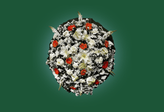 Imagem de coroa de flores B luxo laranja do grupo maya do serviço funerário de são paulo