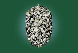 Imagem de coroa de flores Premium Orquídeas do grupo maya do serviço funerário de são paulo