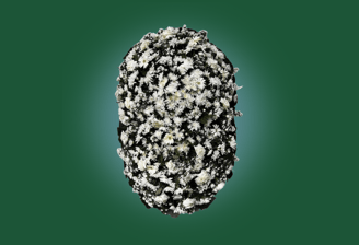 Imagem de coroa de floresA luxo branca do grupo maya do serviço funerário de são paulo
