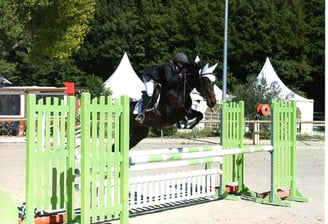 Cheval qui saute un obstacle en compétition