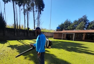 Limpeza de terreno