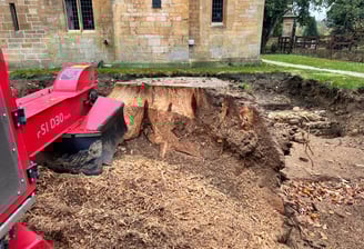 stump grinding warwick