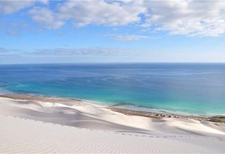 Socotra guide