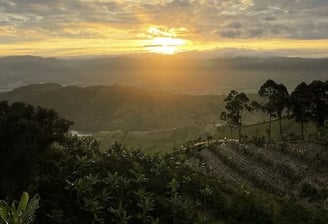 Paisaje Dopamine Coffee