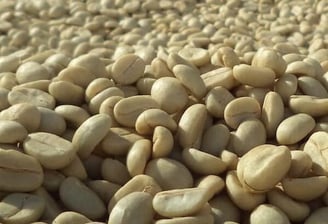 Lavado Dopamine Coffee