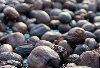 Natural Dopamine Coffee