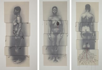 obra de Rosana Paulino