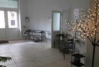 a room with a tree and a plant in the middleconsultation with a neurologist