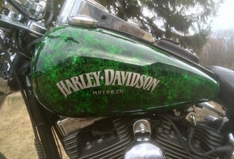 Harley Davidson Dyna with Custom Paint by owner ProPolish Motorcycle Ceramic Coating Port Rowan