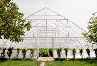 Agroland Greenhouse