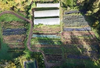 drones professionnels pour l'agriculture