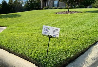 Expert lawn care