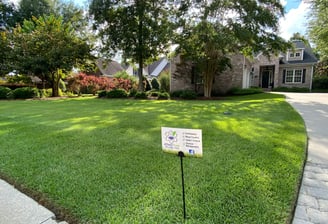 personalized lawn solutions